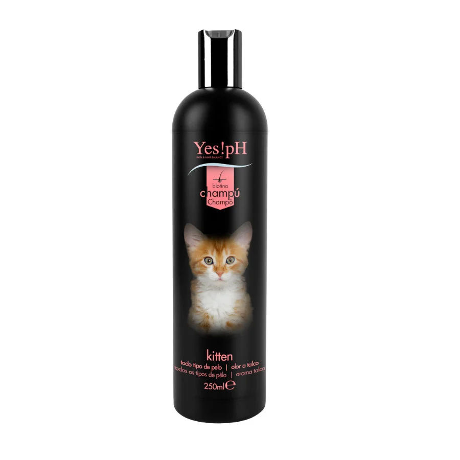 Sim! Shampoo pH para gatinhos para gatos