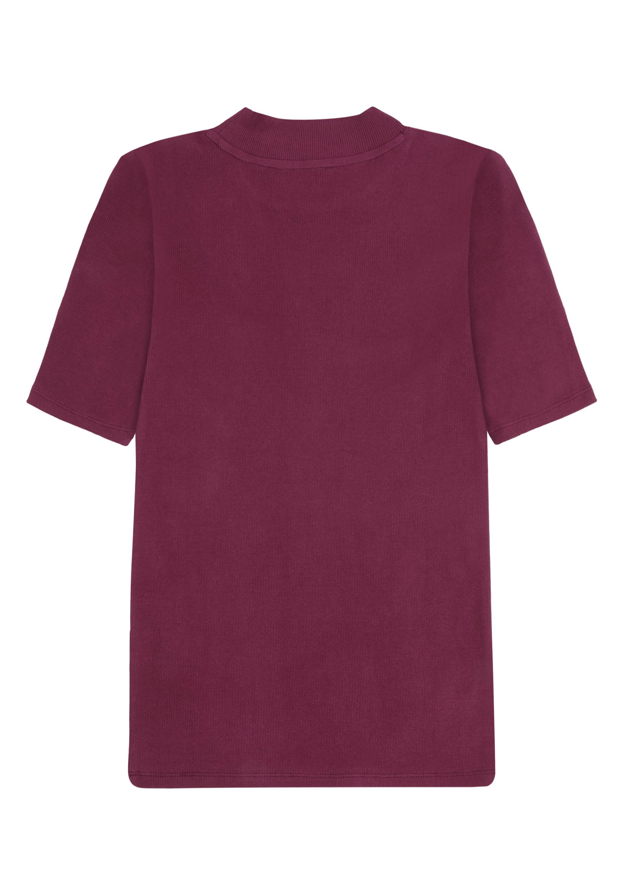 Knowledge Cotton Apparel T-Shirt Rib High Neck Fig