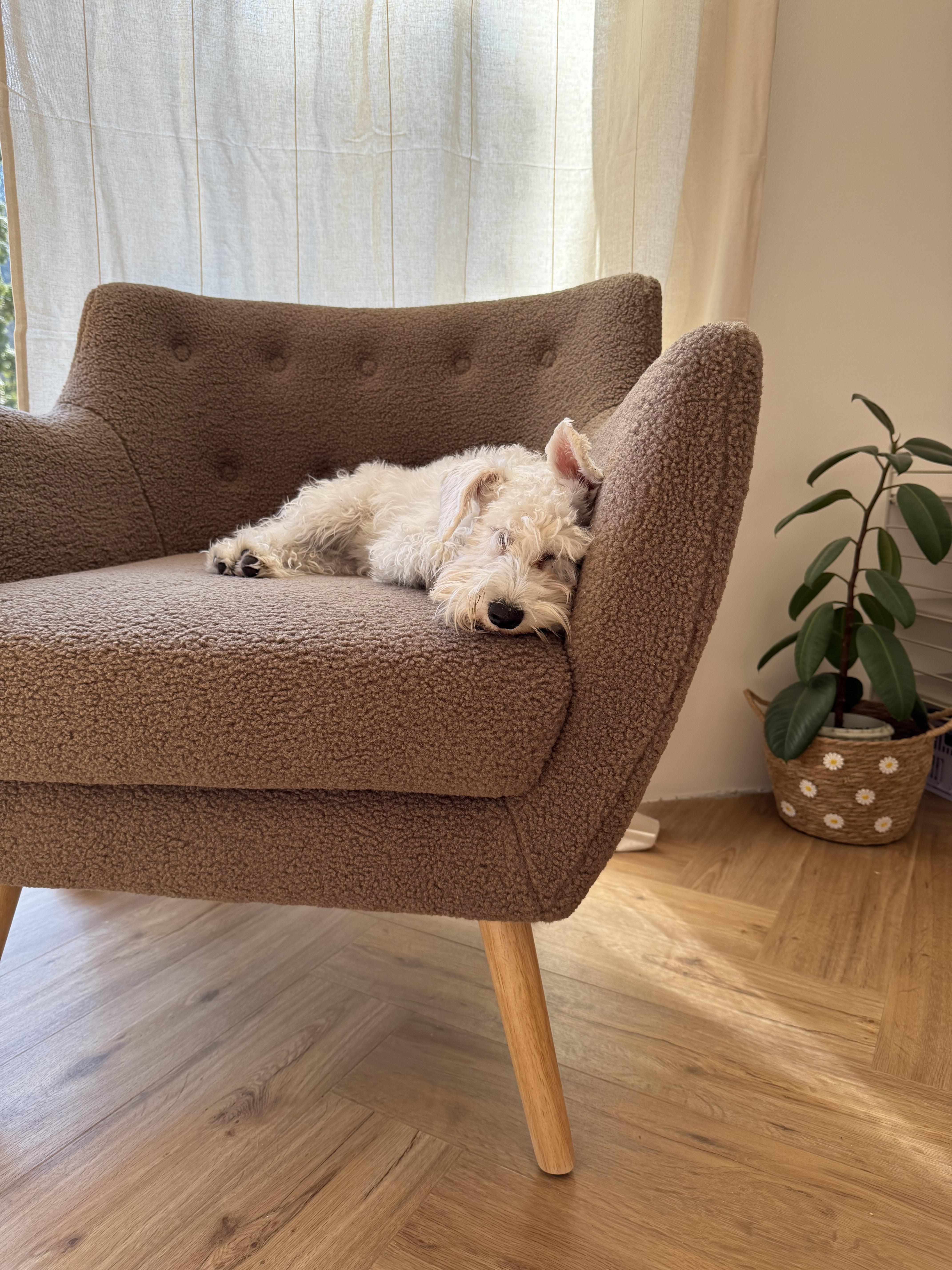 Fauteuil DRAMMEN Bouclé Bruin