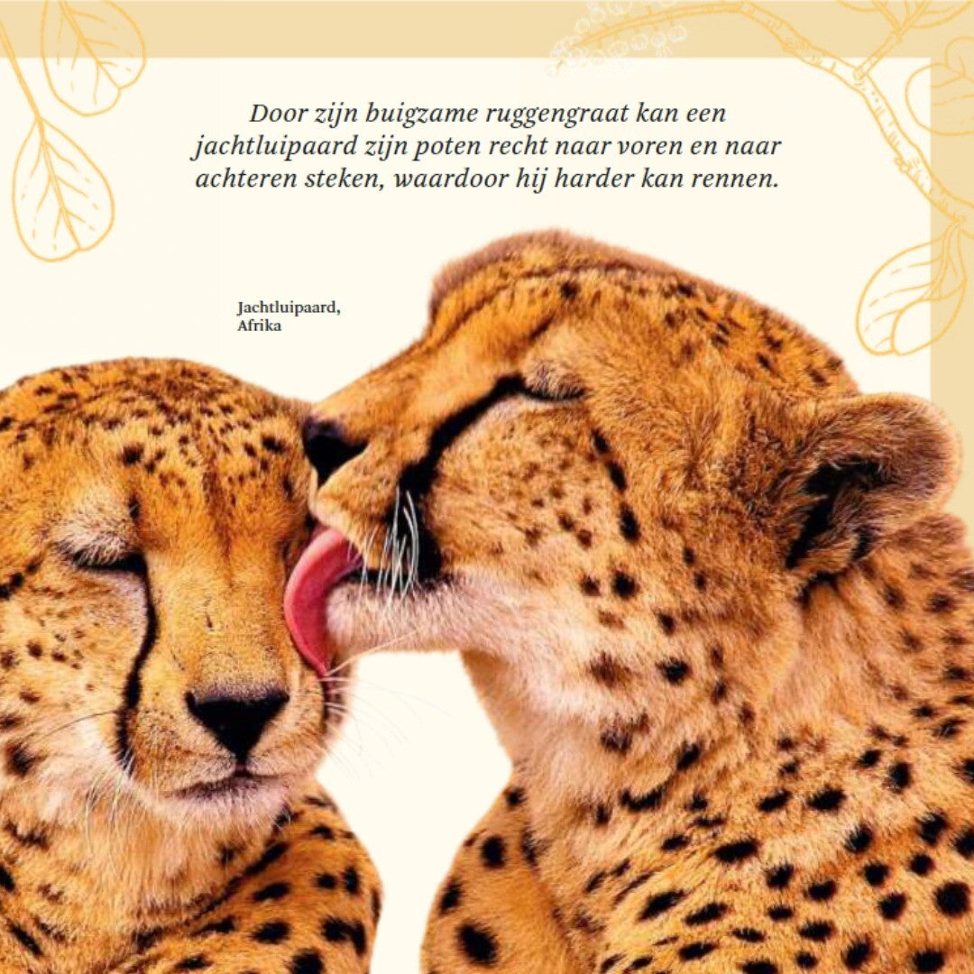 Uitgeverij lannoo het dikke boek van alle bijzondere dieren
