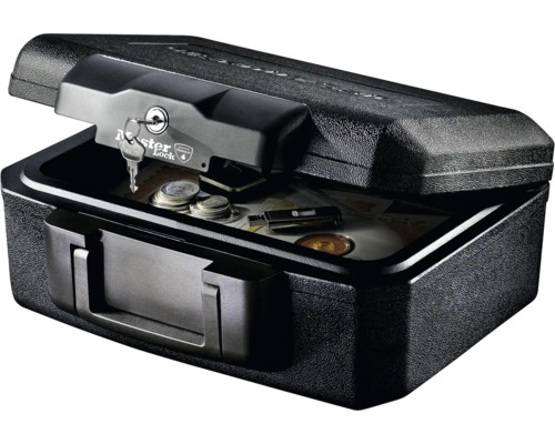 Master Lock L1200 brandwerende beveiligingscassette