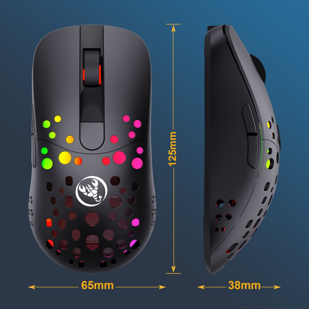 Optische Wireless Gaming Maus 10000 DPI mit USB C und 6 Tasten   RGB Beleuchtung (MacOS/Windows) - Schwarz