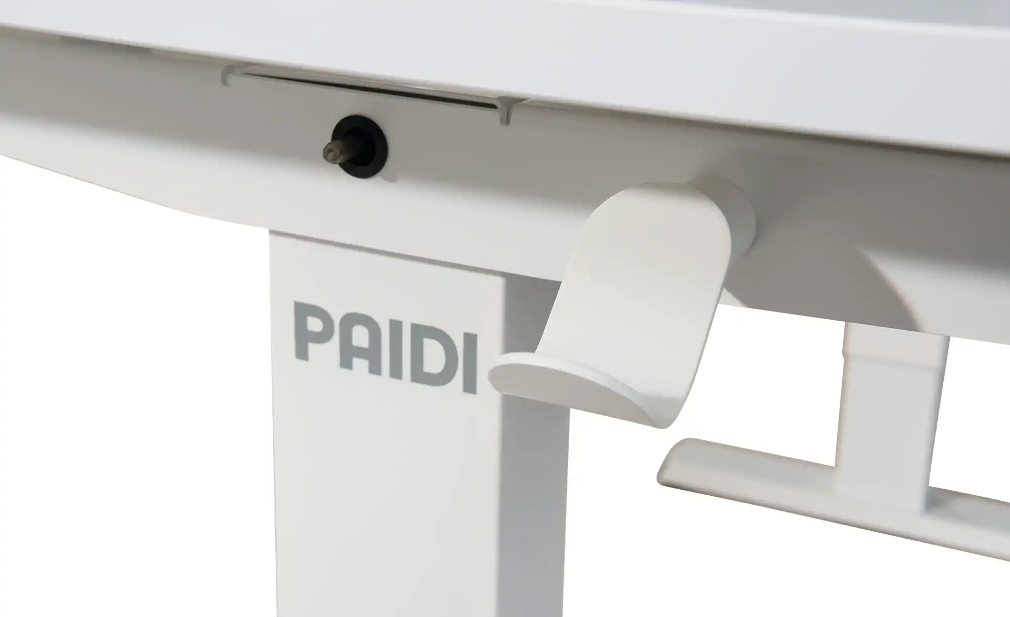 PAIDI Schreibtisch Teenio