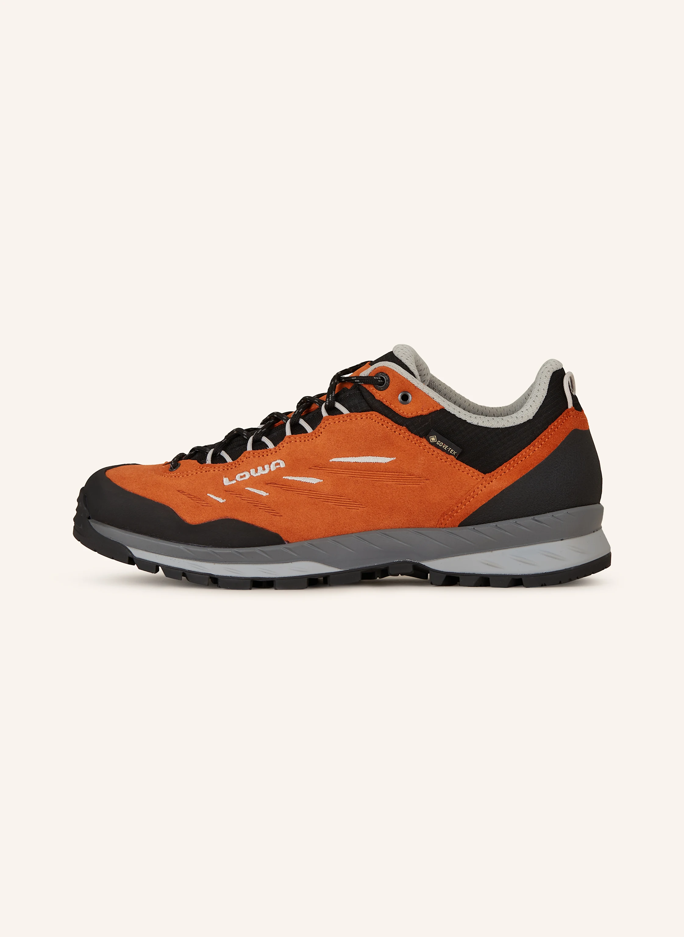 LOWA Wanderschuhe DELAGO GTX LO
