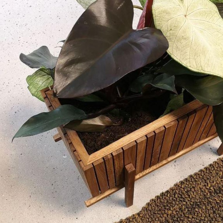 Squarely Copenhagen GrowWIDE plantenbak incl waterreservoir 60x22vdonker eiken