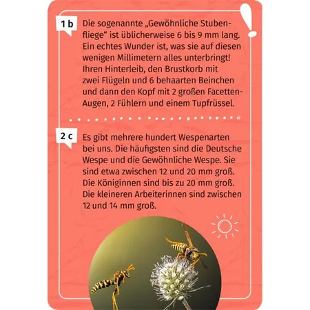 moses. Expedition Natur Mein Becherlupen-Forscherquiz