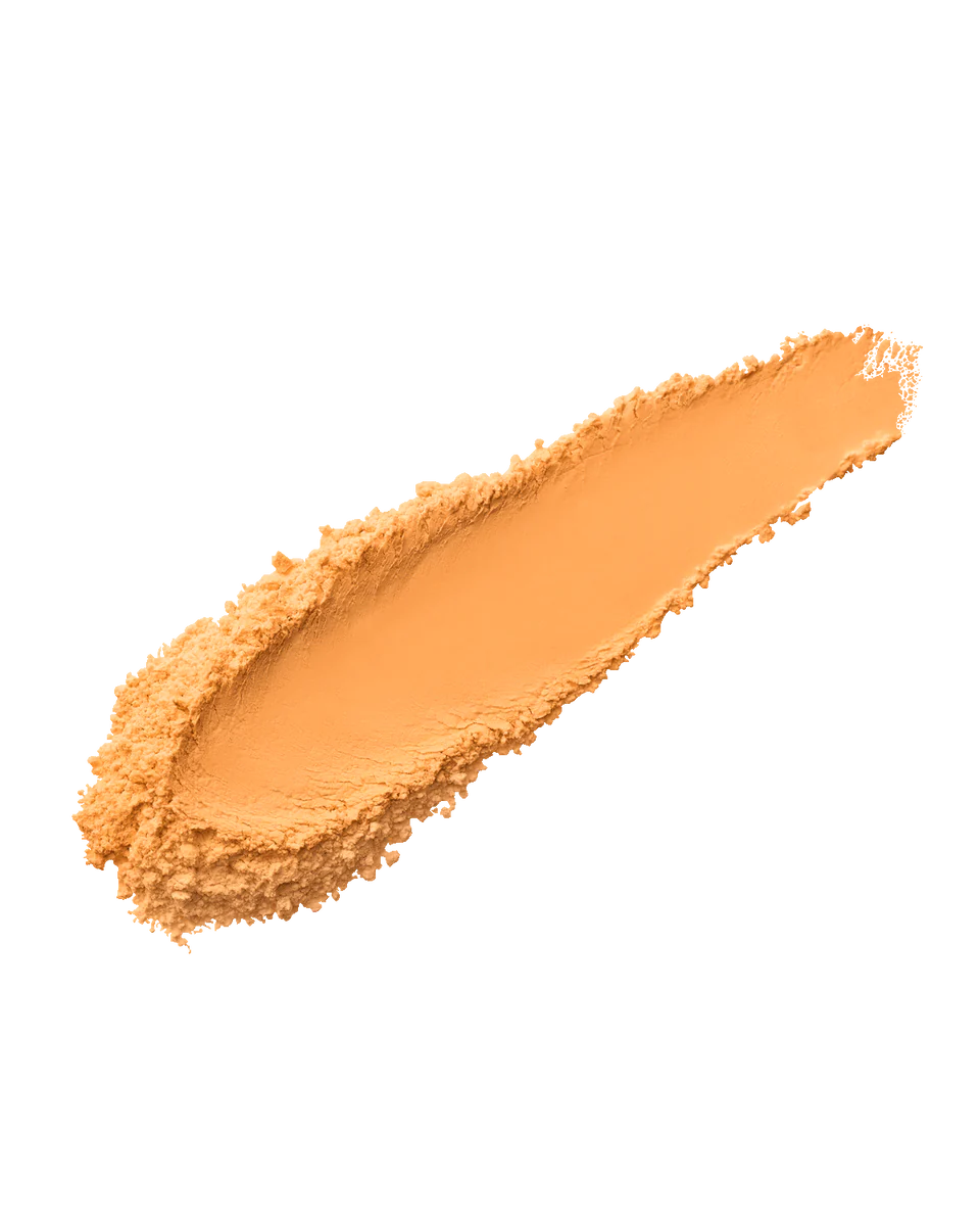 Pro Filt'r Instant Retouch Setting Powder