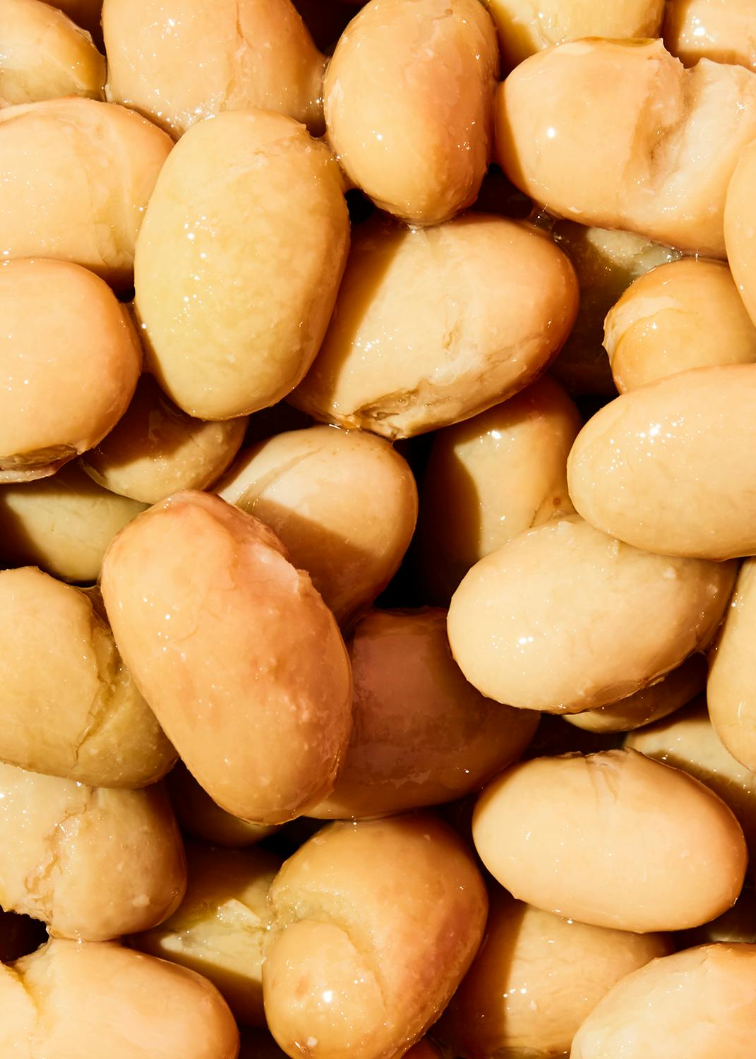 Bio Borlotti Bohnen in der Dose 250 g