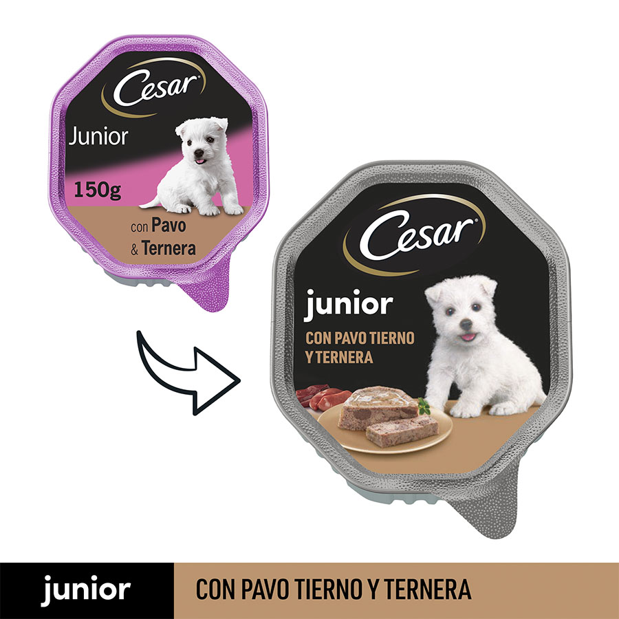 Pote de gelatina de peru e carne bovina Cesar para filhotes