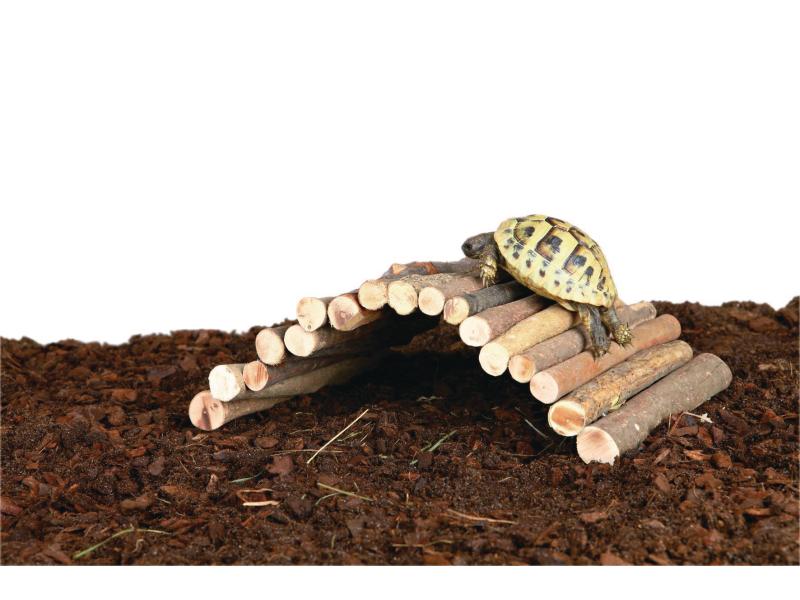 Trixie Weidenbrücke 17 x 28 cm Flexibel konstruierte Brücke für Nagetiere