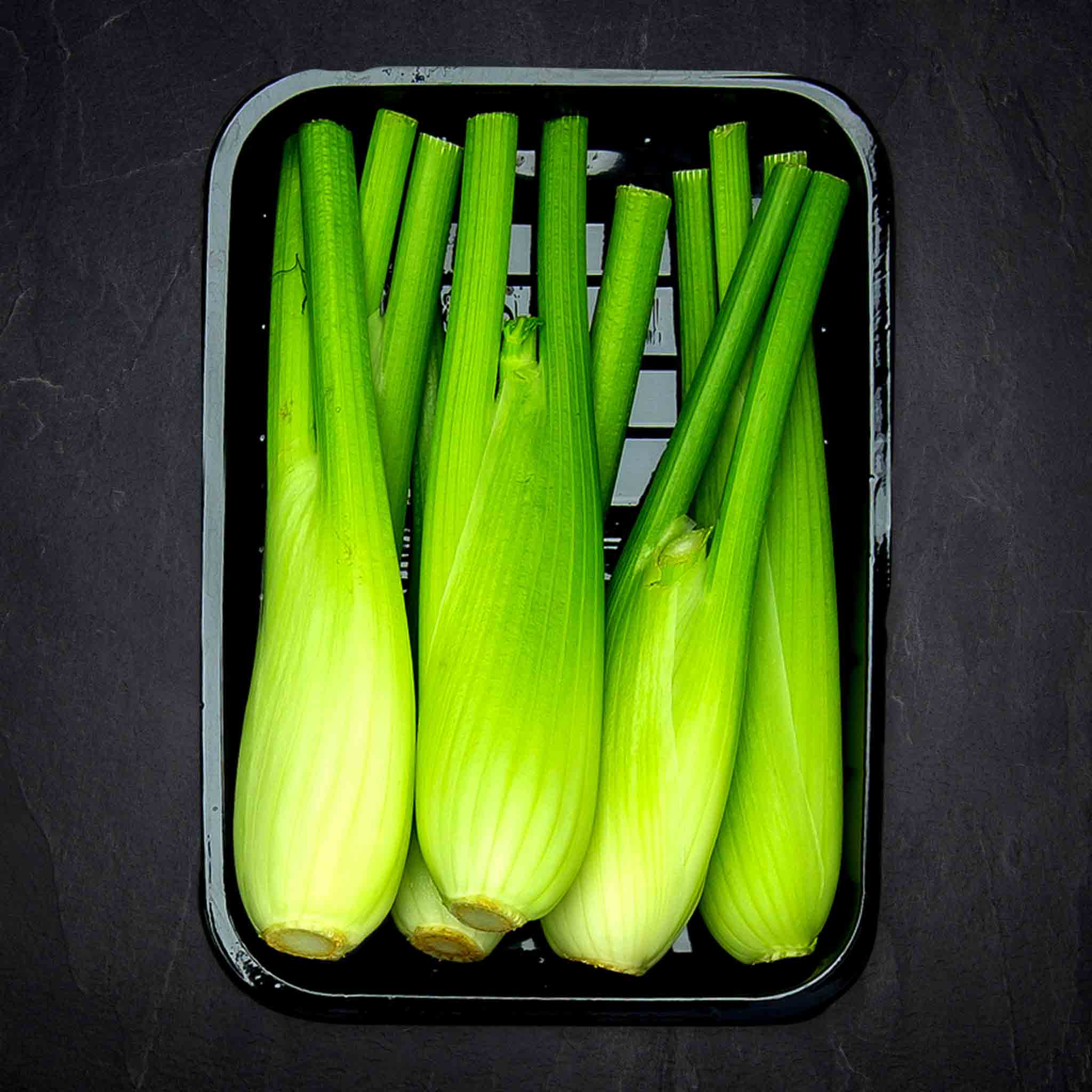 Mini Fenchel