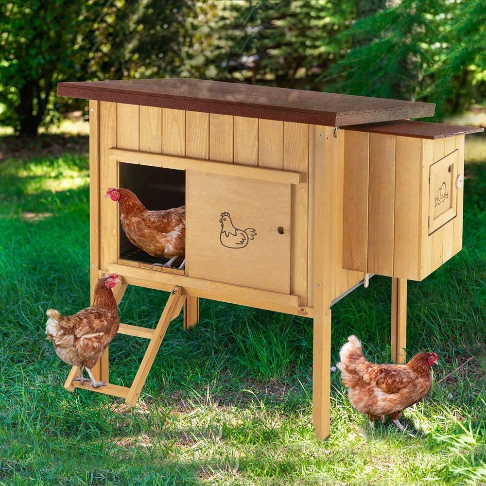 Ferplast poulailler maisonnette pour poules pondeuses hen house 10 d'extérieur, en bois fsc, pour environ 4 poules, accessoires