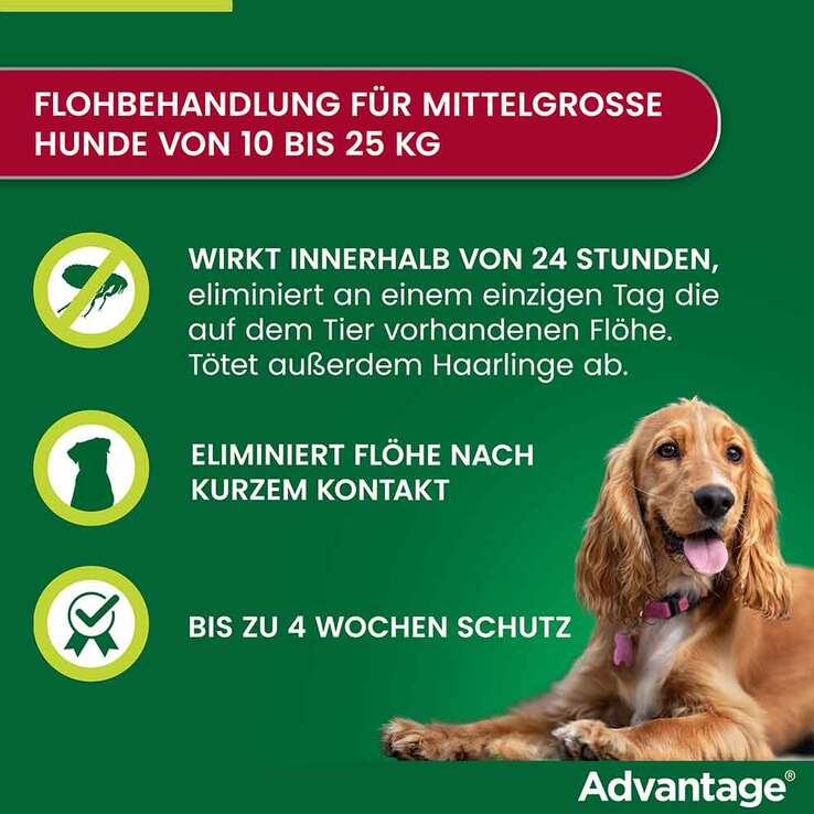 Advantage 250 für Hunde von 10-25 kg, 4 St