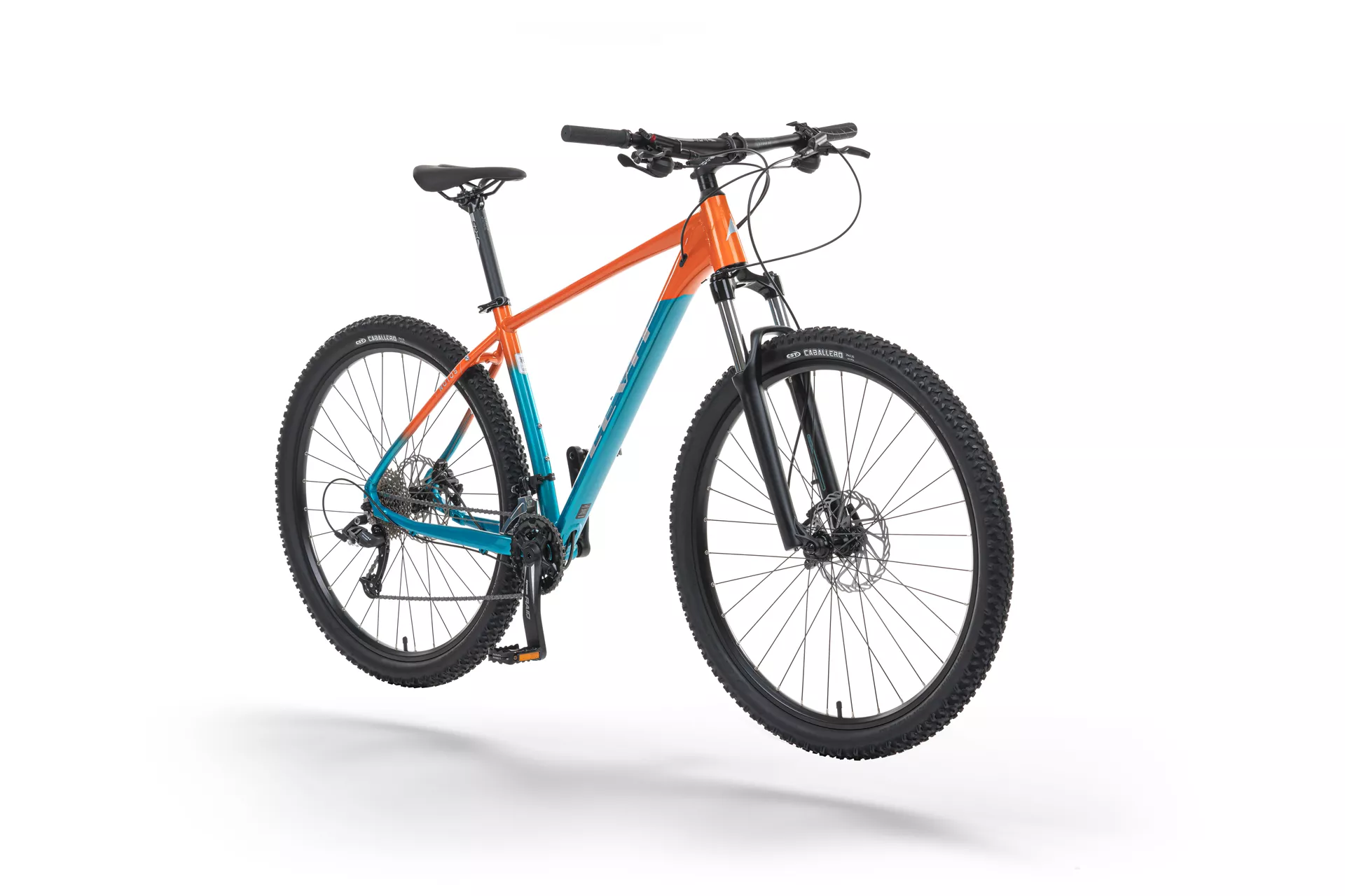 LEVIT NOTOS 5 29