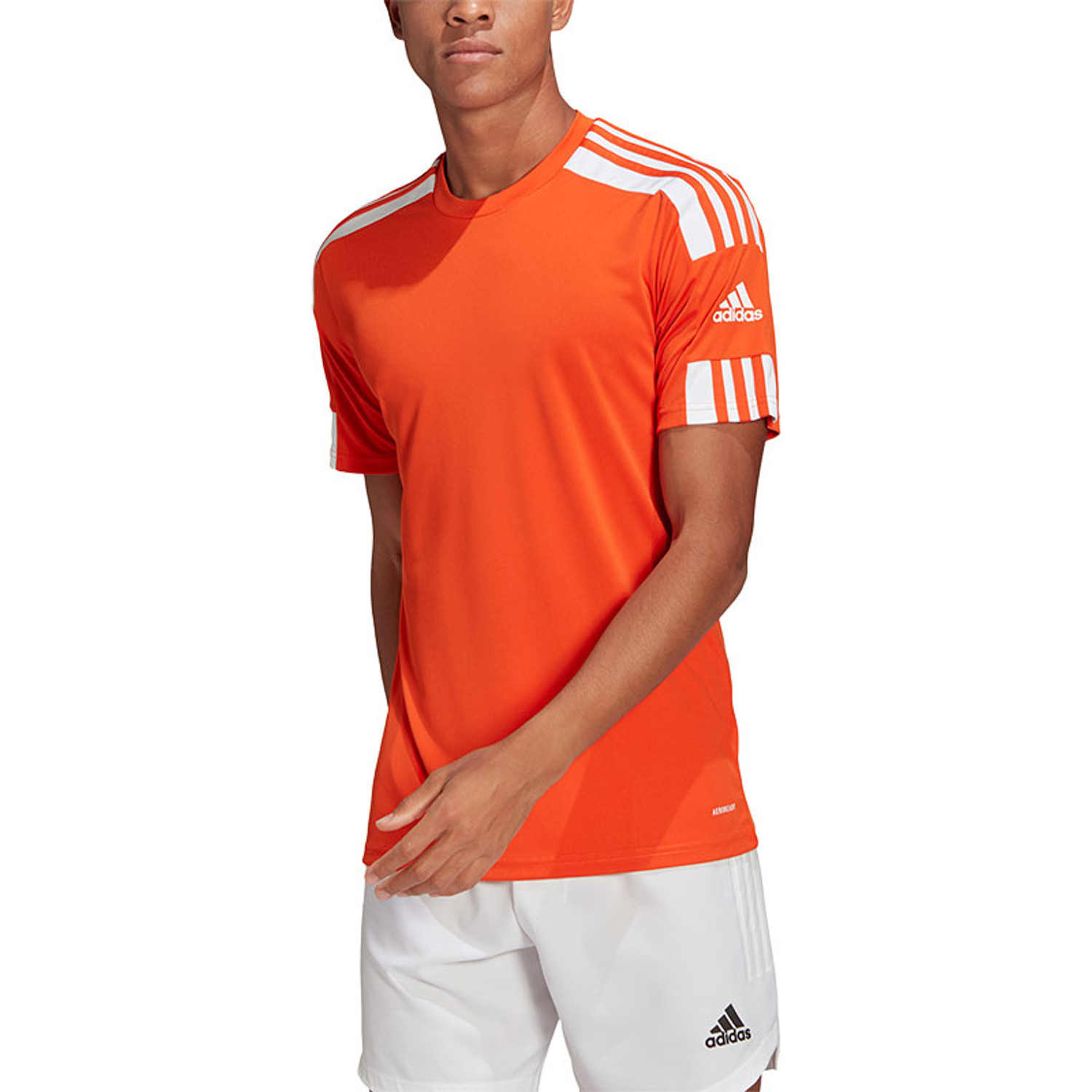 adidas Squadra Trainingsset