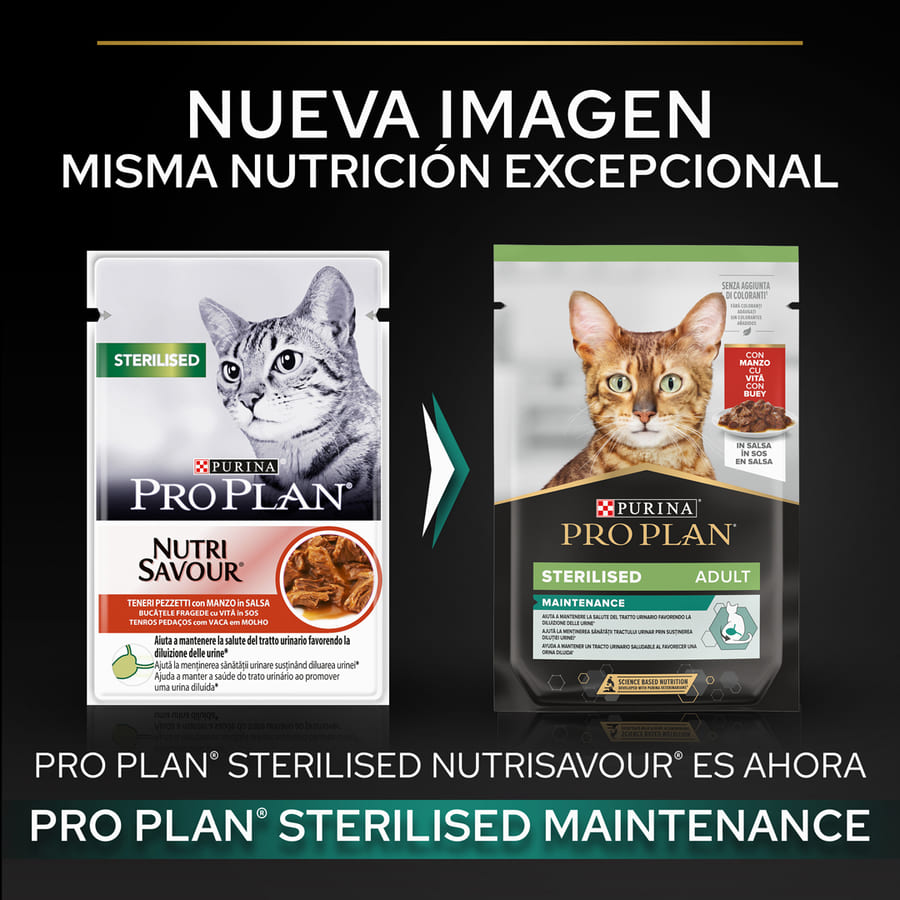 Sachê esterilizado Pro Plan para manutenção com carne ao molho para gatos.