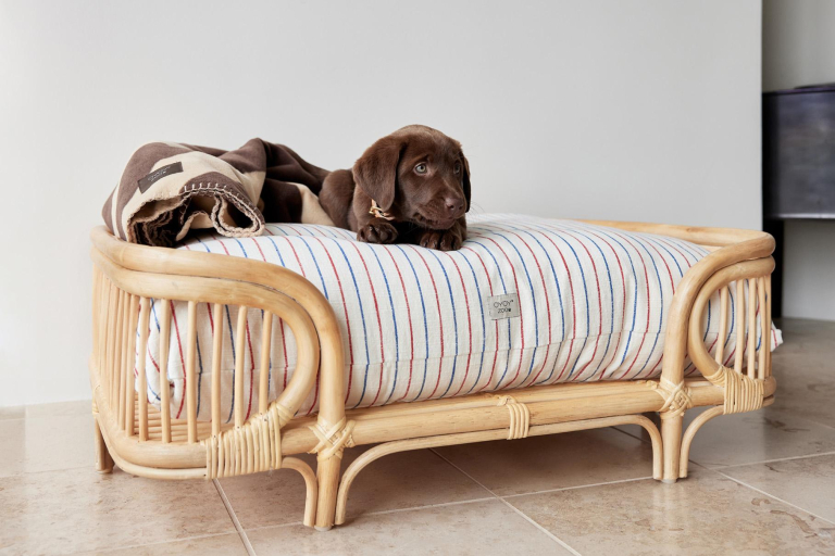 OYOY Otto hondenmand Large rattan