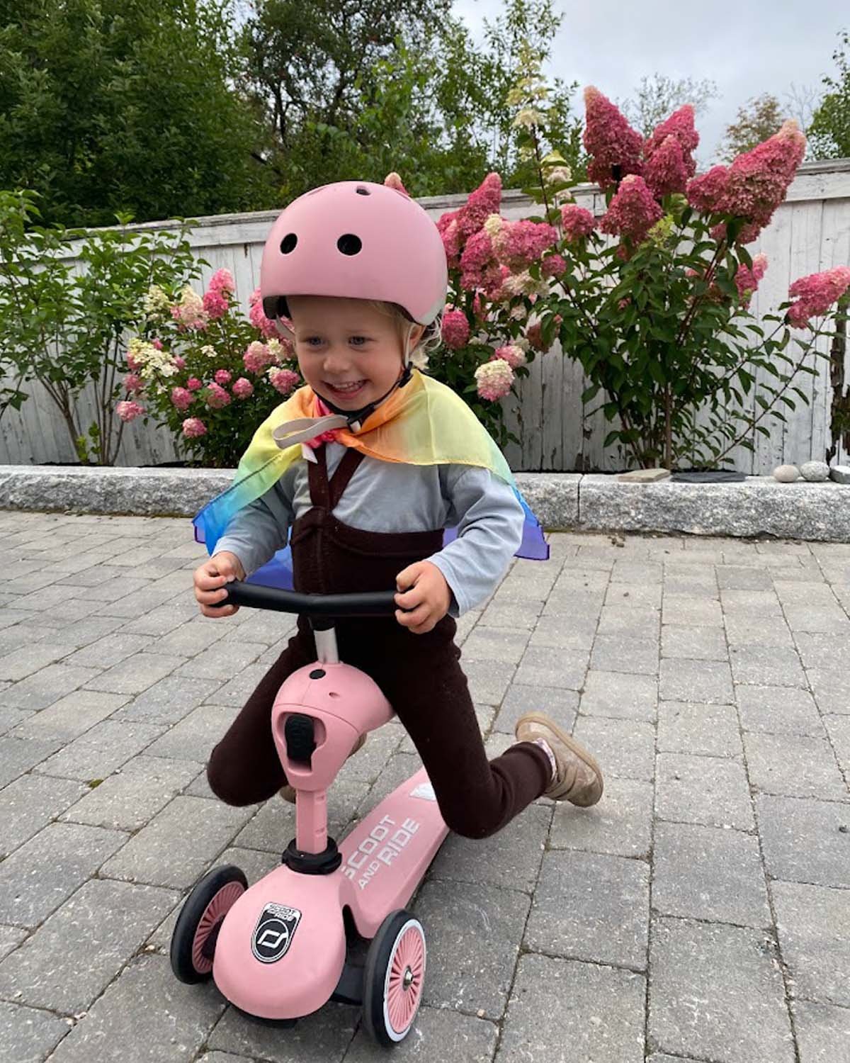 Sparkesykkel & Løpesykkel – Scoot & Ride Highwaykick 1 | Barn 1-5 år