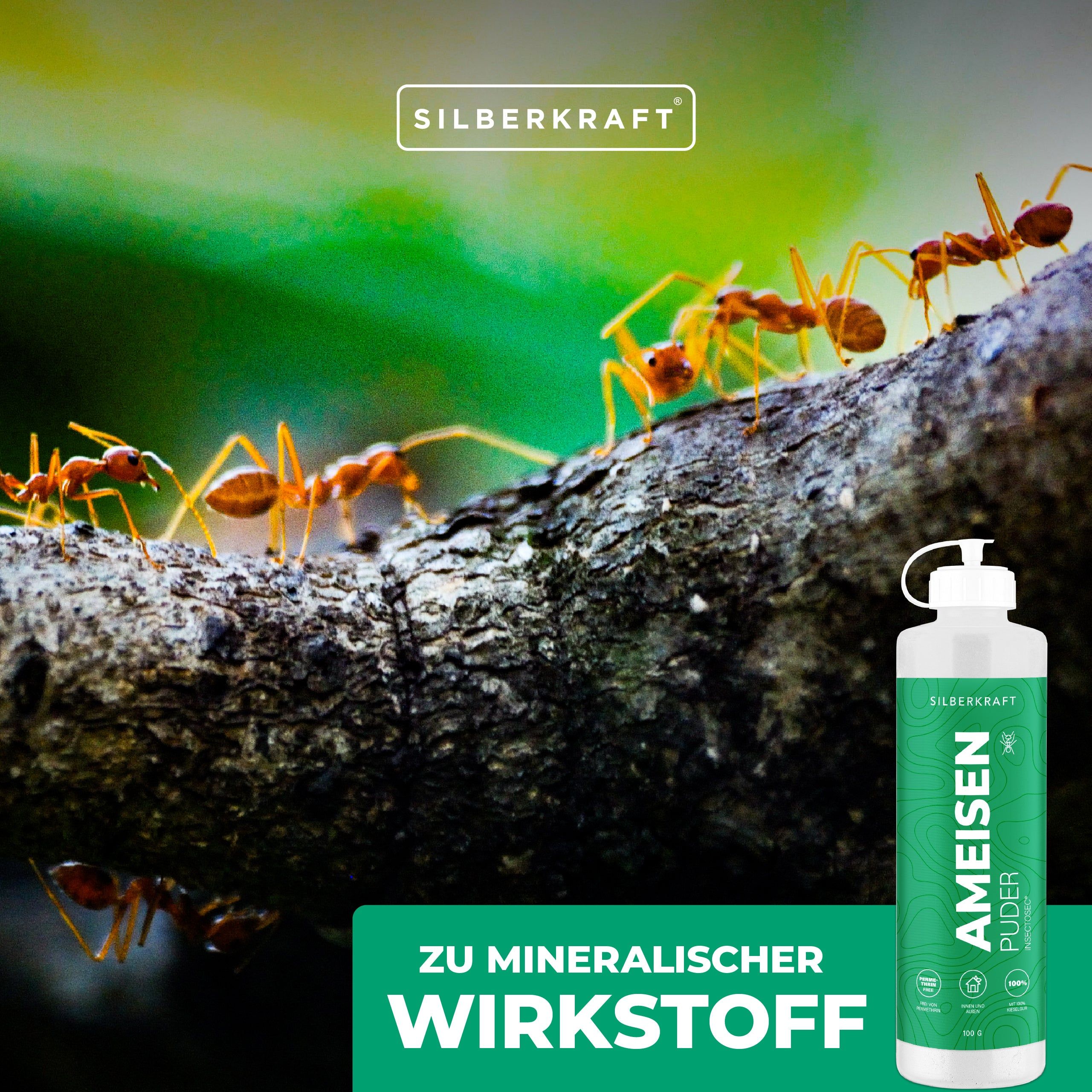 SILBERKRAFT Anti Ameisenpulver