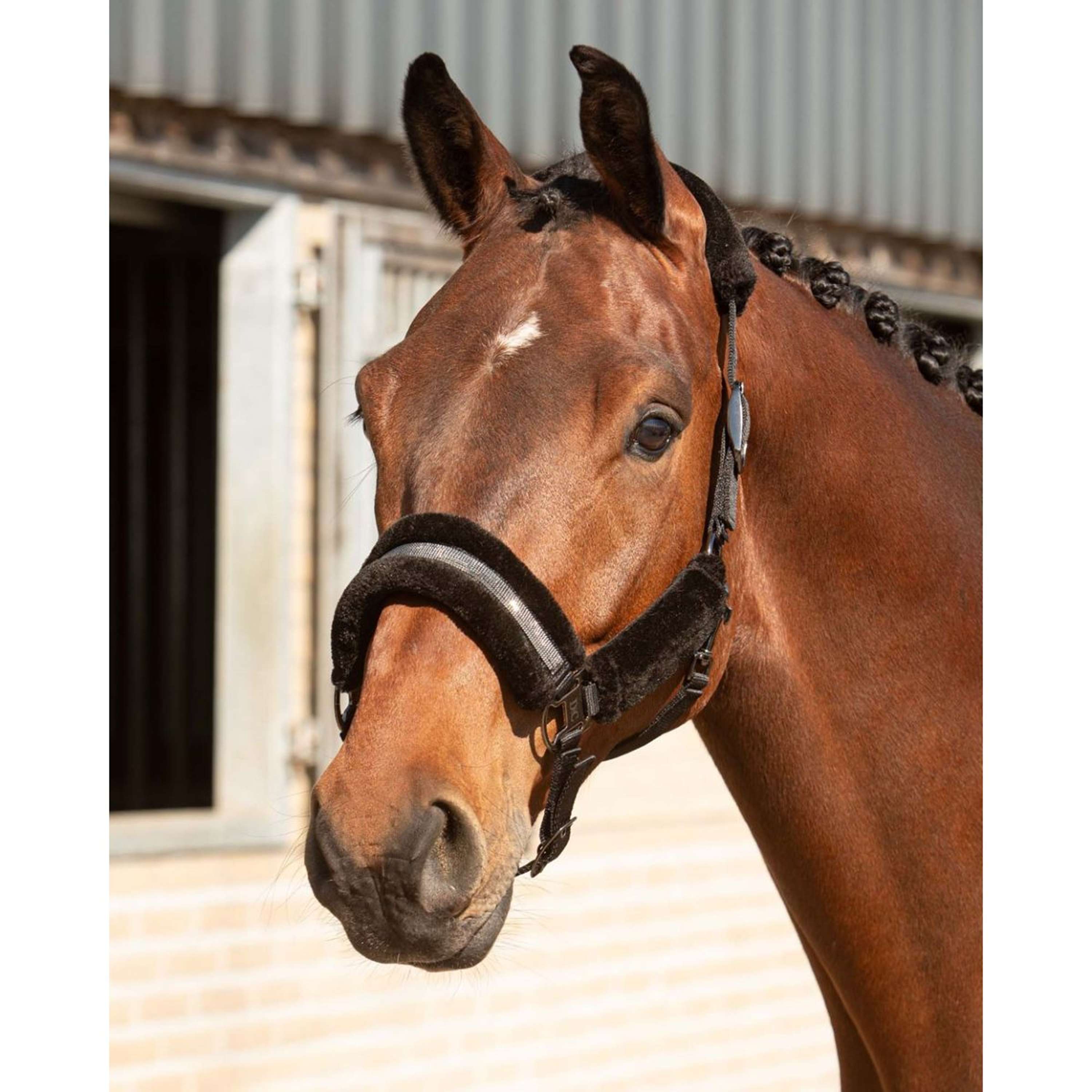 Harry's Horse Halsterset Denici Cavalli Stardust Soft Zwart
