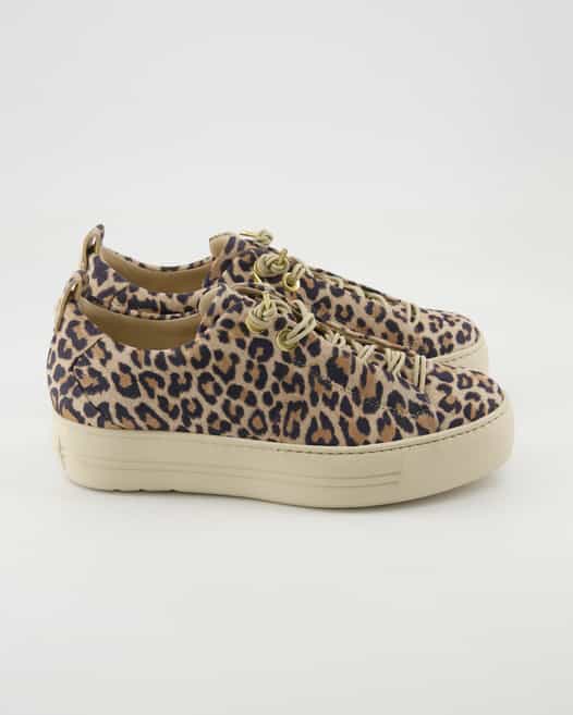 Paul Green 5317 Sneaker in Braun