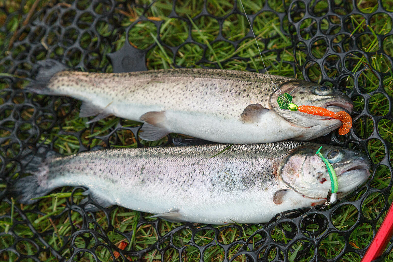 3.5g ChatterBait Flashback Mini (Z-Man)