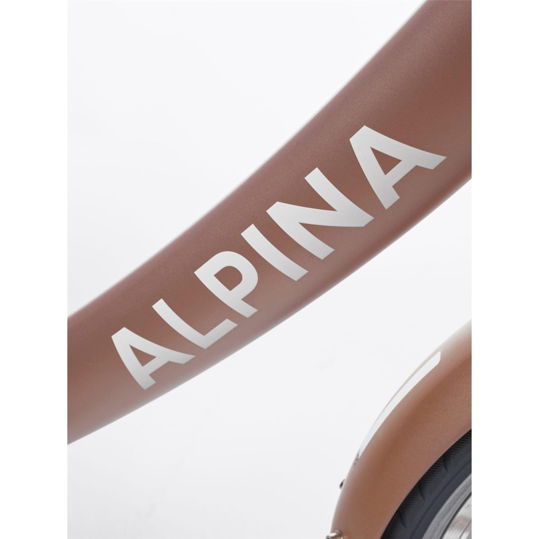 Alpina Clubb 22 inch Meisjesfiets 2026