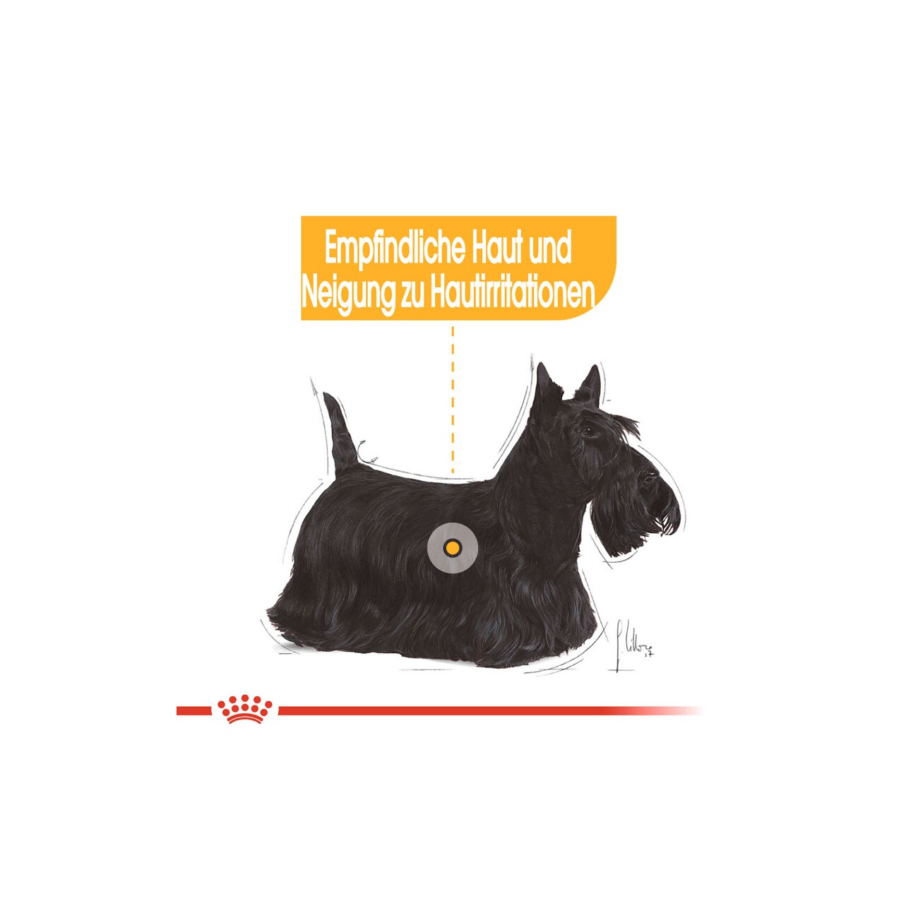 ROYAL CANIN Dermacomfort Mini 3 kg