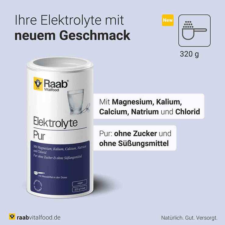 Raab Vitalfood Elektrolyte pur Pulver, 320 g