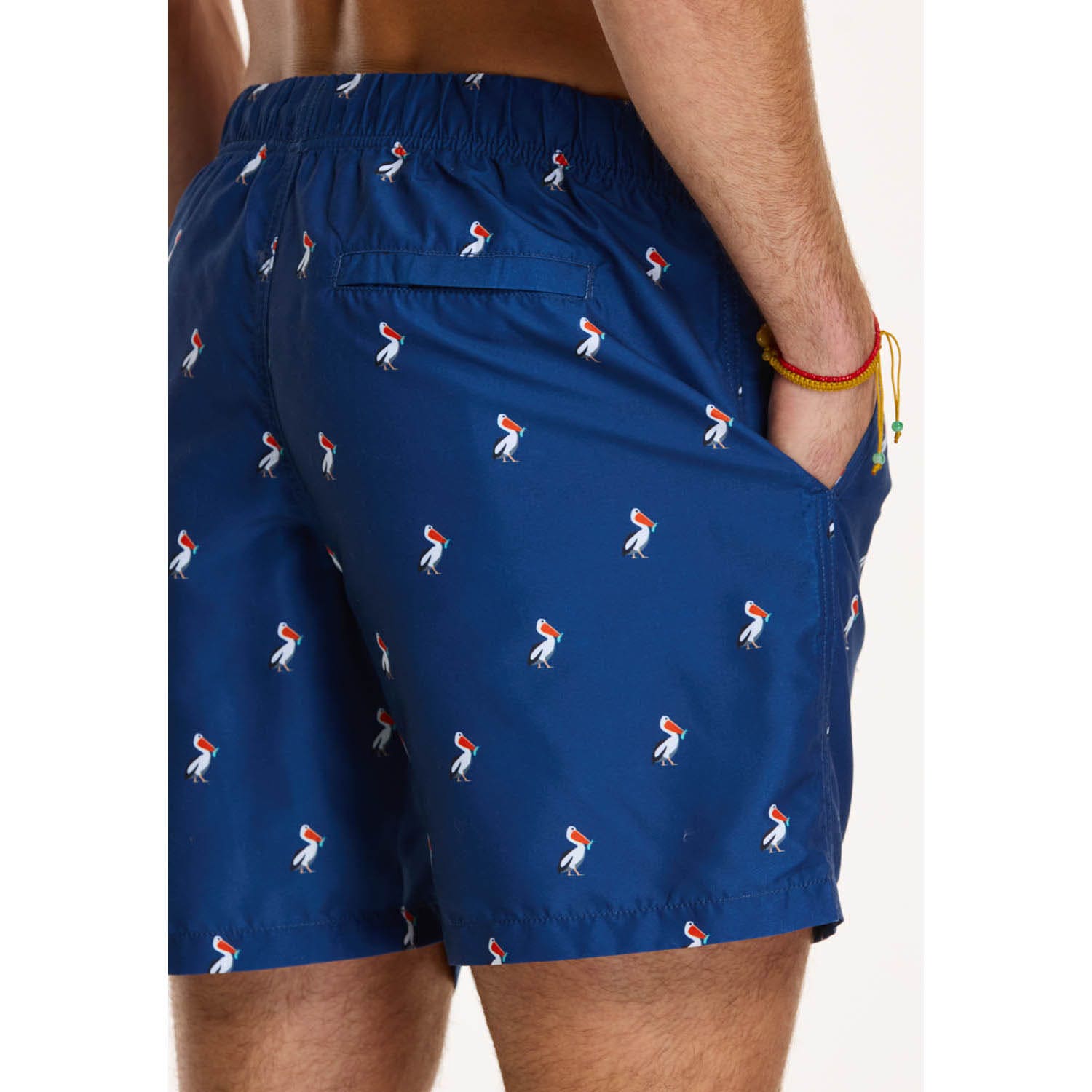 Shiwi  Swimshort Pelican