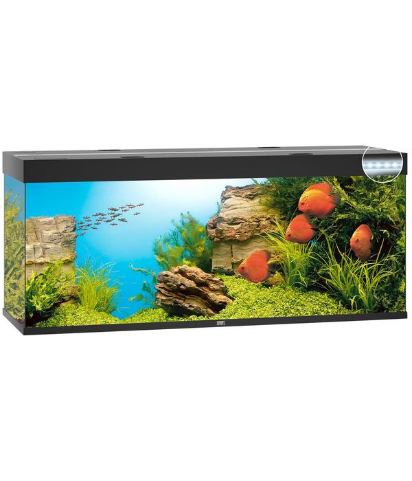 JUWEL® AQUARIUM Rio 450 LED
