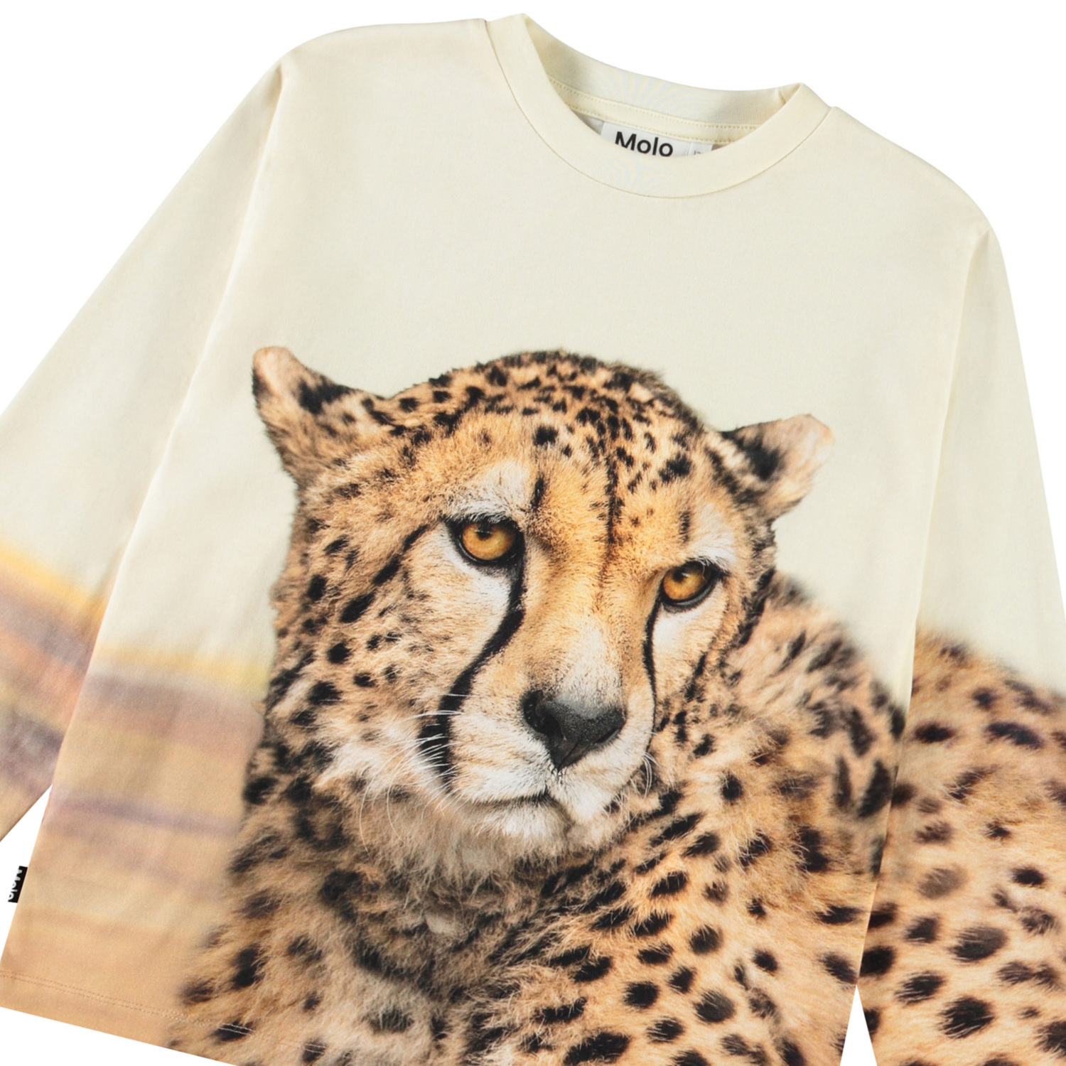 Rollo - Big Cheetah Light