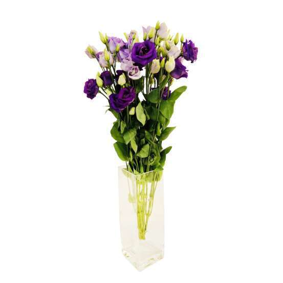 Botte de Lysianthus - 5 tiges : coloris variables