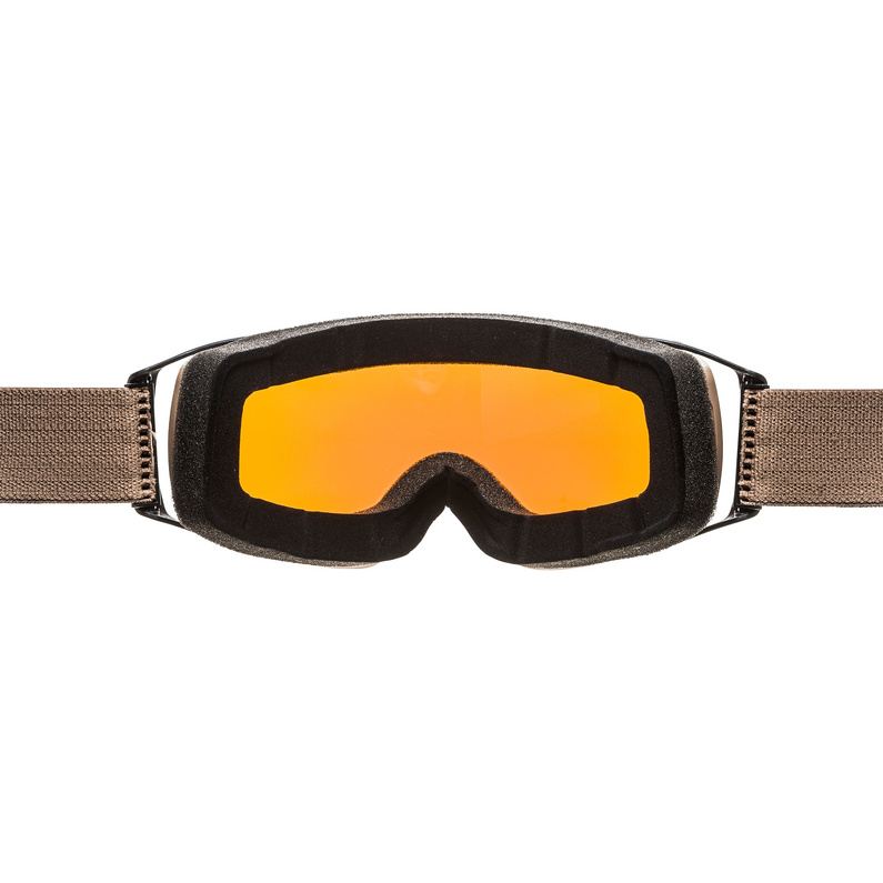 Alpina Double Jack Planet Q-Lite Skibrille