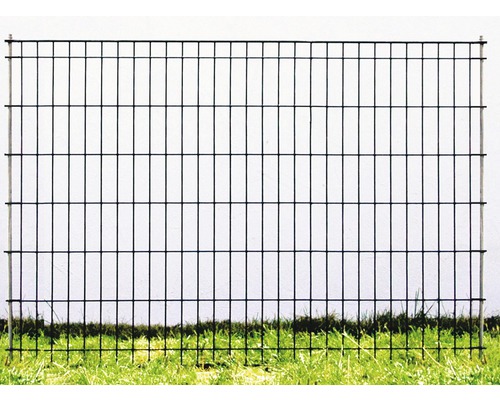 Vijverhek 116 x 80 cm groen