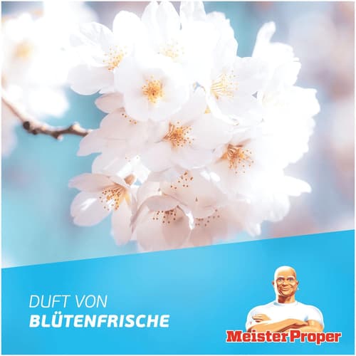 Meister Proper Antibakterieller Badreiniger Blütenfrische