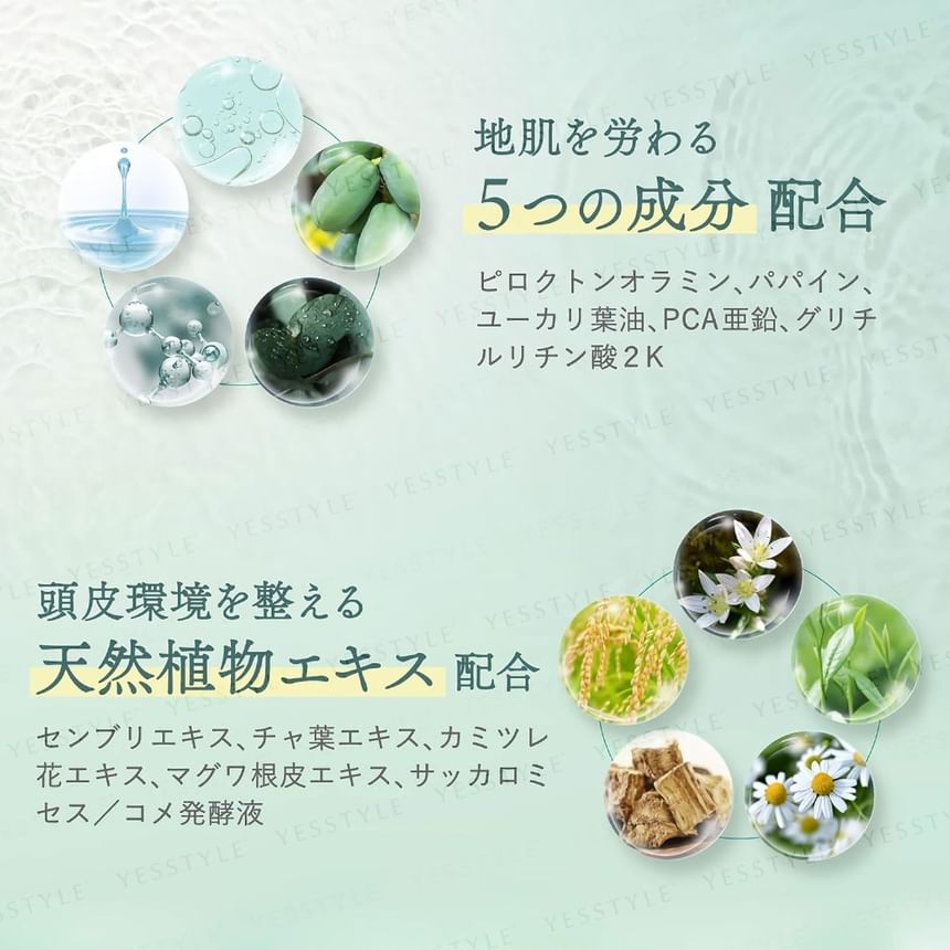 Off & Relax - Spa Purif Ying Hoofdhuidreiniger
