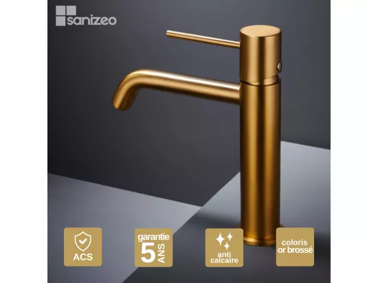 Robinet Mitigeur de Lavabo anti-calcaire Bec Bas Or Brossé IMEX MONZA BDM039-1OC