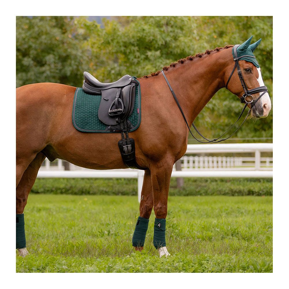 Le Mieux CLASSIC - Bandes de polo x4 spruce