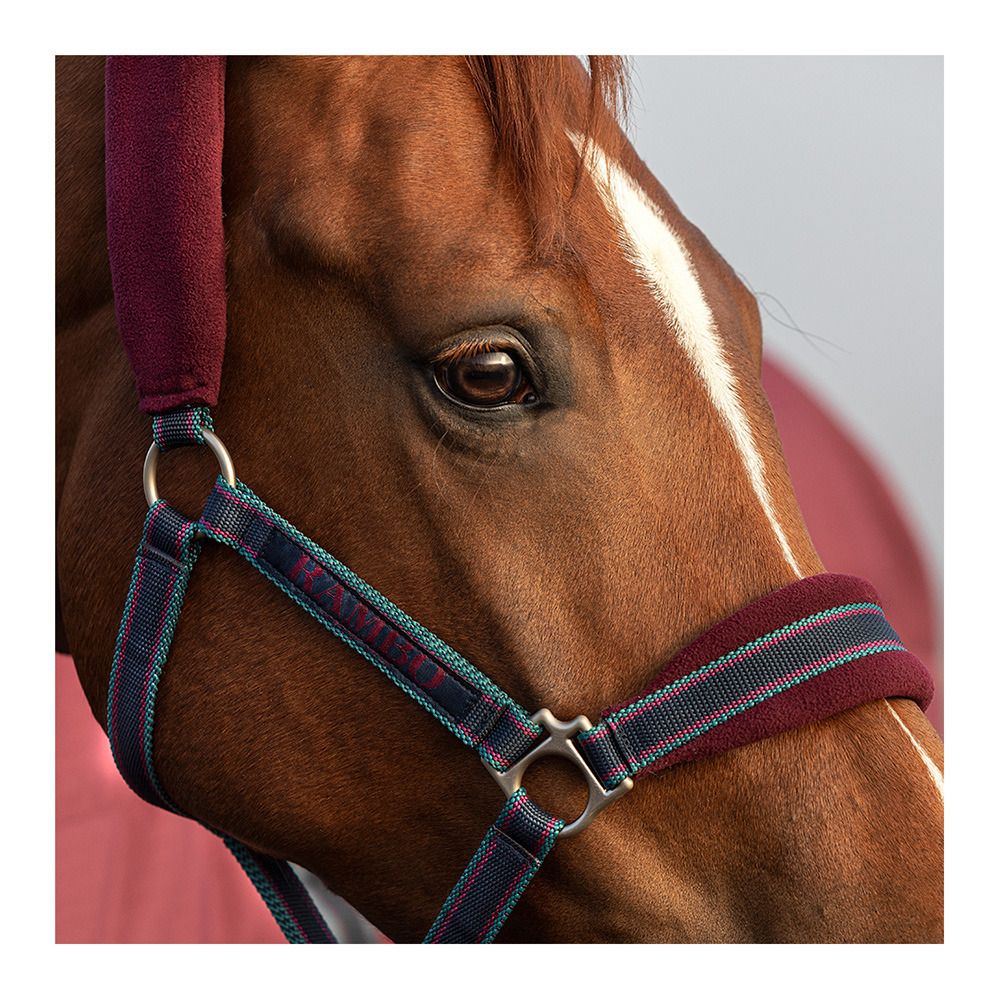 Horseware RAMBO PADDED - Licol burg/burg/teal&nvy
