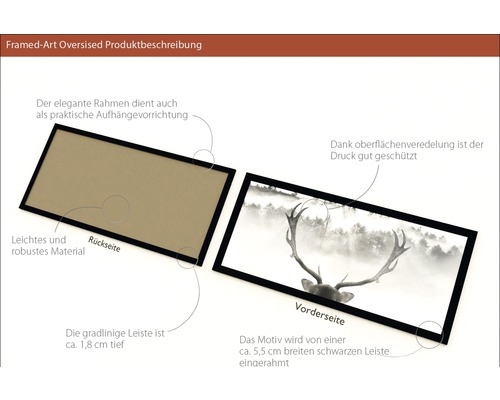 Ingelijste foto Koning van het Woud 60x130cm