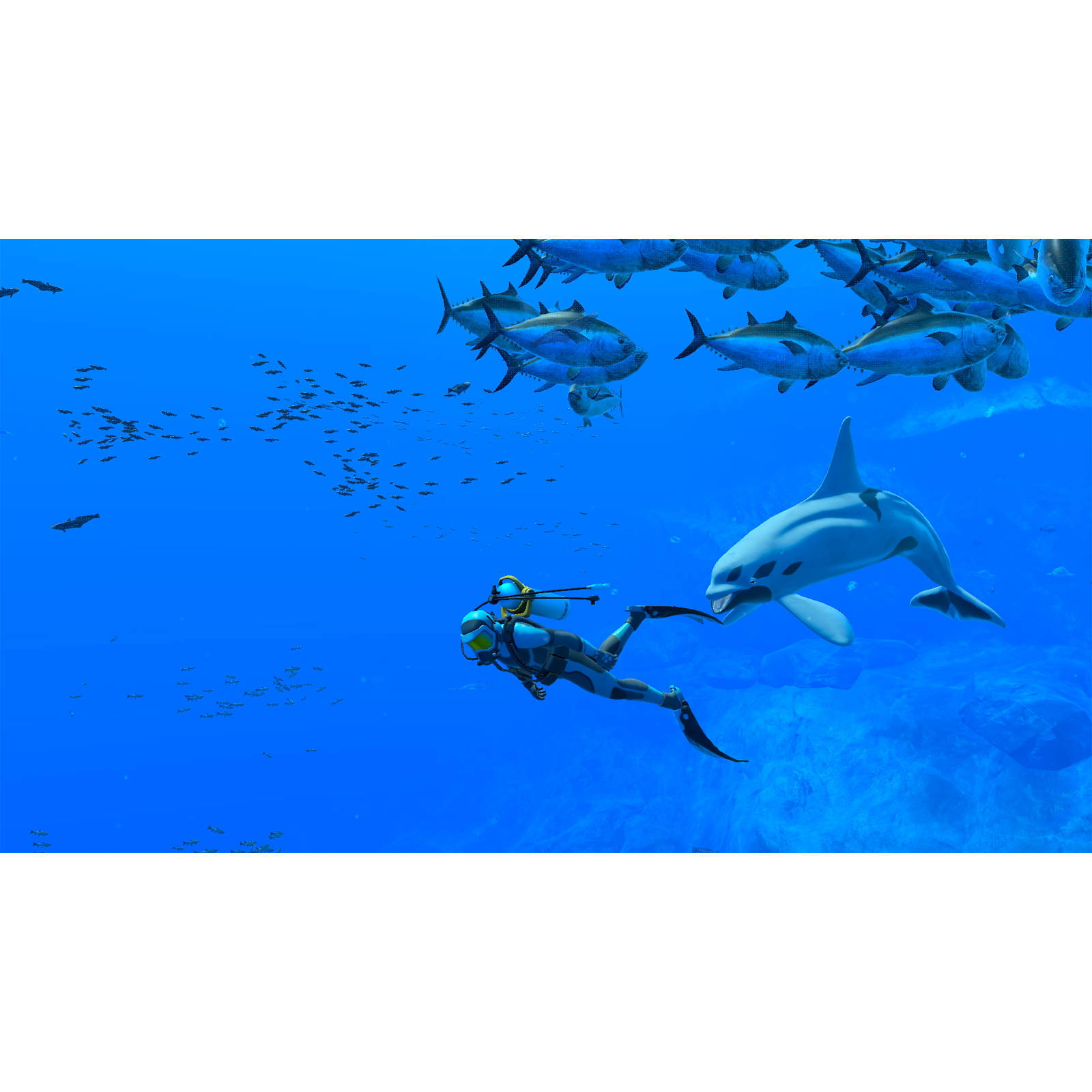 Nintendo Endless Ocean Luminous (Nintendo Switch)