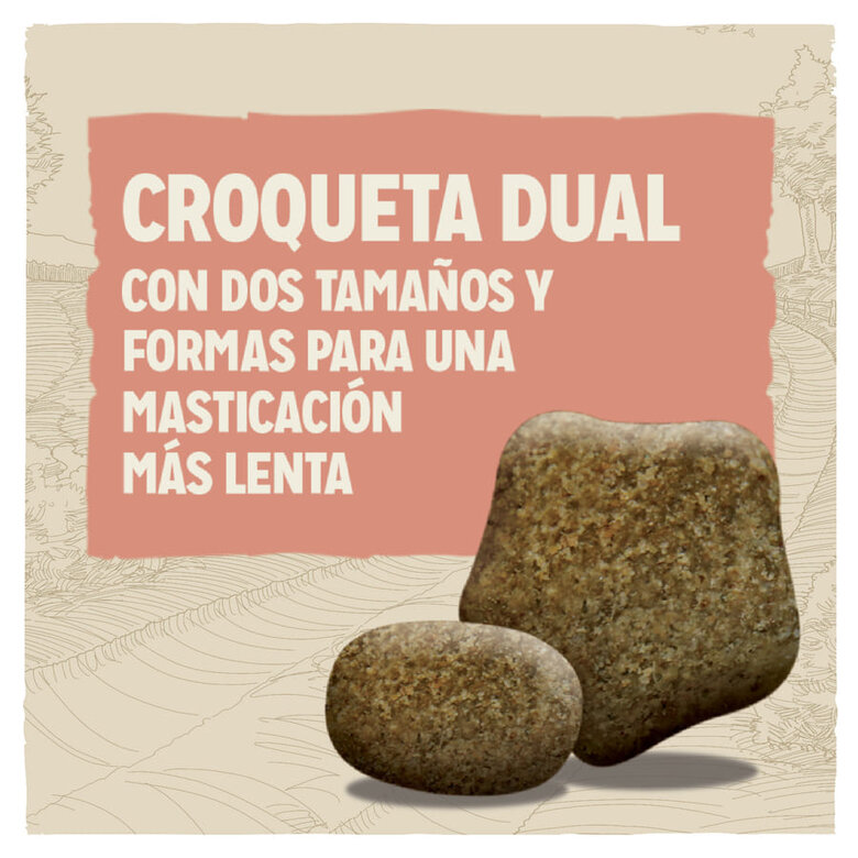 Ração para cães Dog Chow Light Turkey