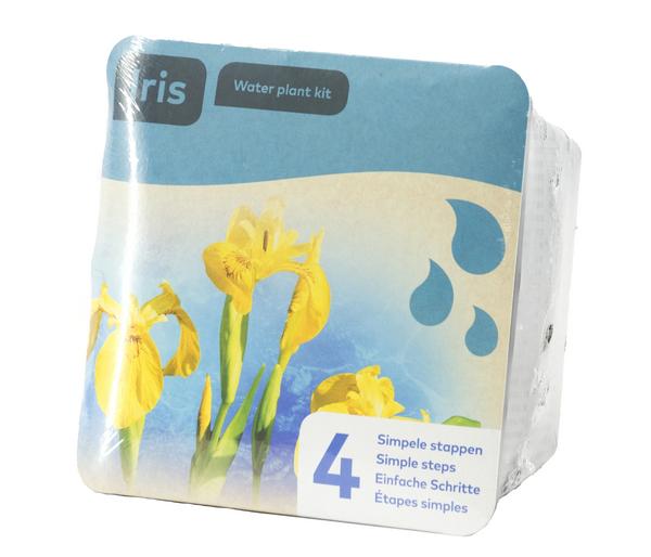 Teichpflanzen Komplett-Set Iris, 6-teilig