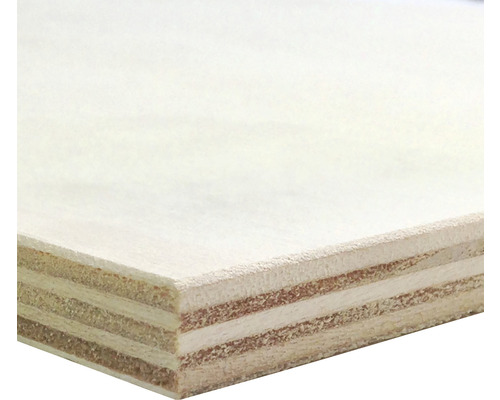Vaste afmetingen populieren multiplex 1200x600x4 mm