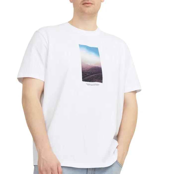 Jack & Jones Vesterbro Picture Shirt Heren (plussize)