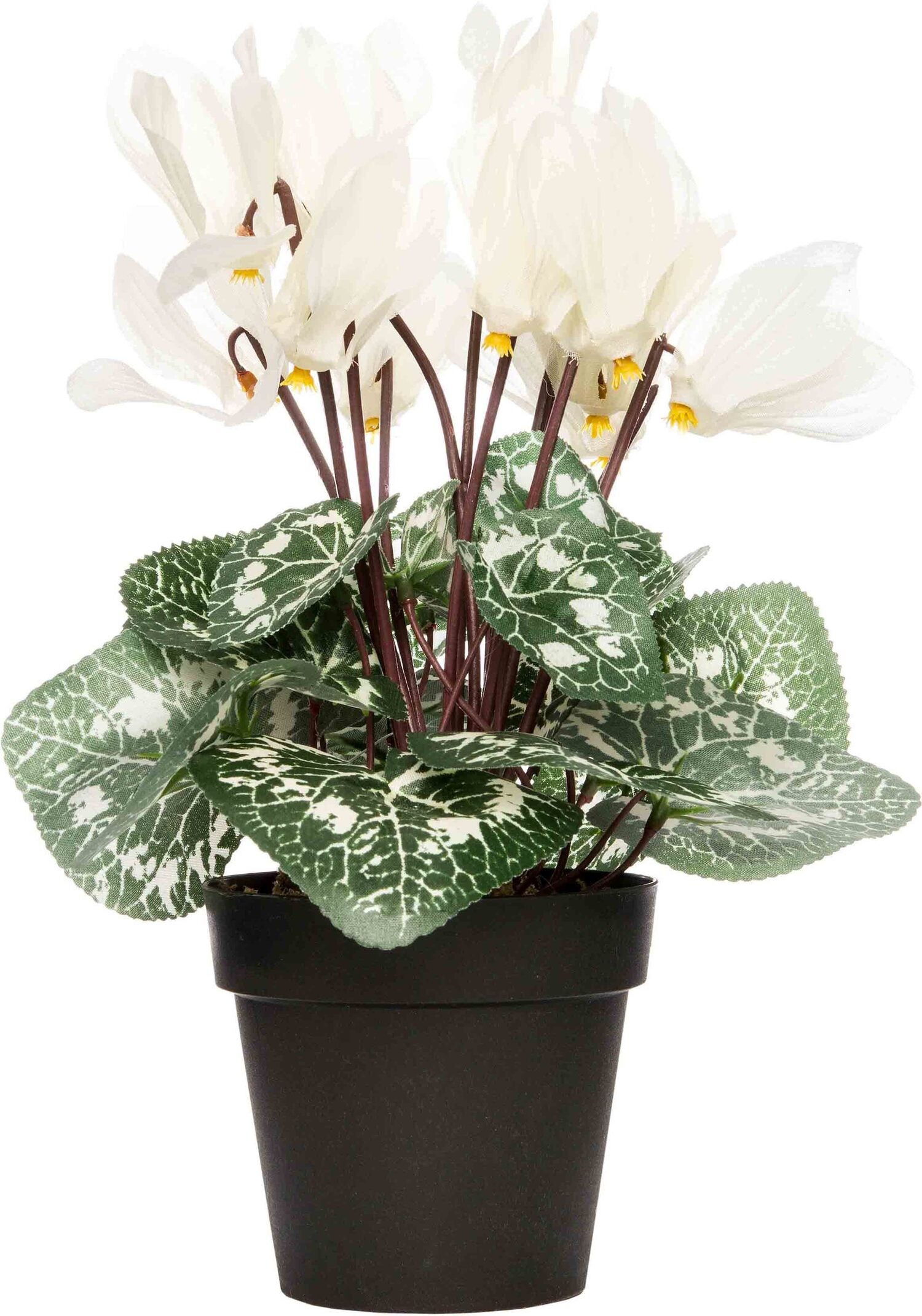 Intratuin kunstplant Cyclaam H 28 cm wit