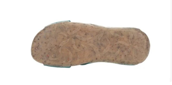Soles Florida 34038