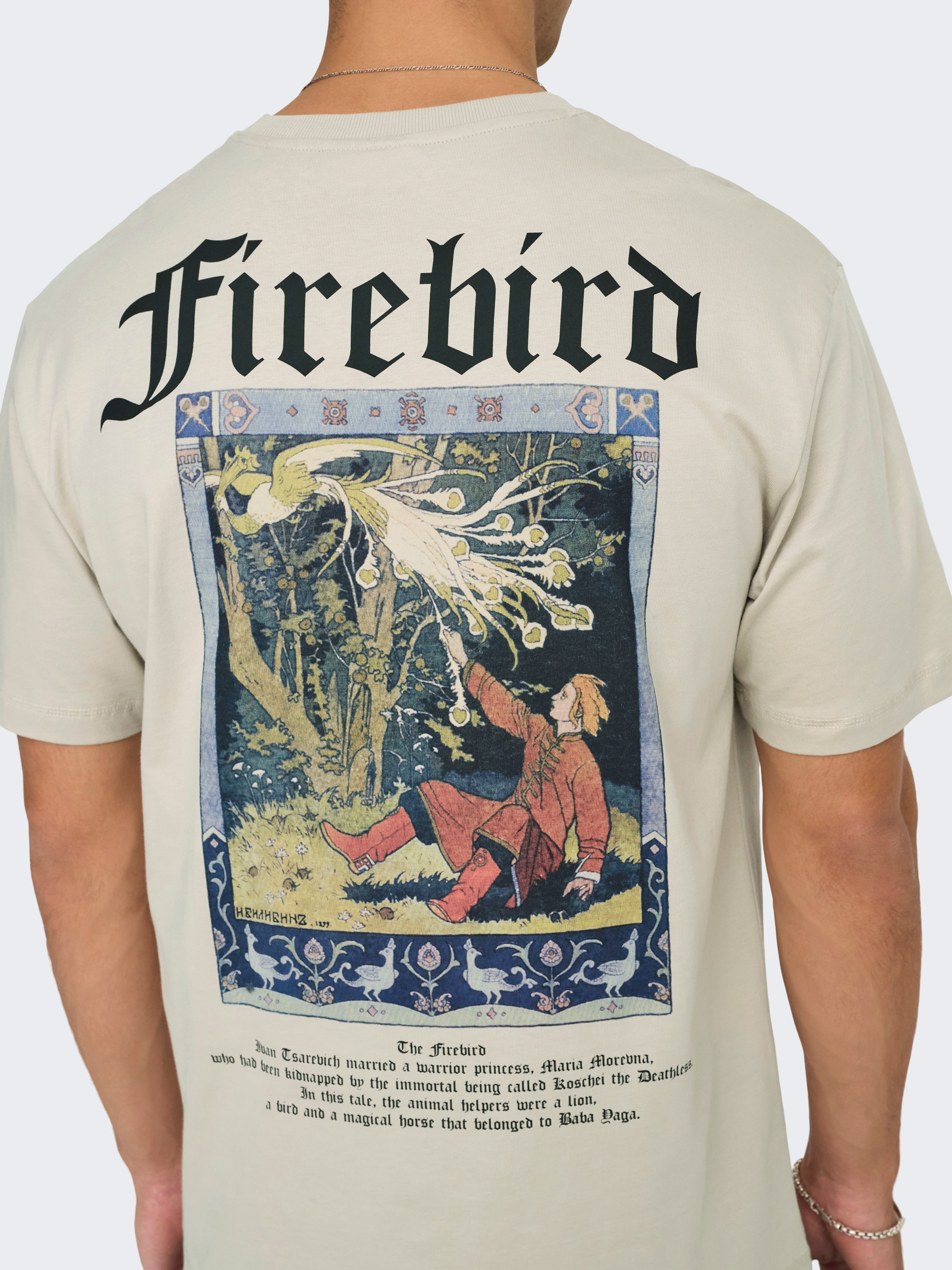 ONSKYLO T-shirt Silver Lining