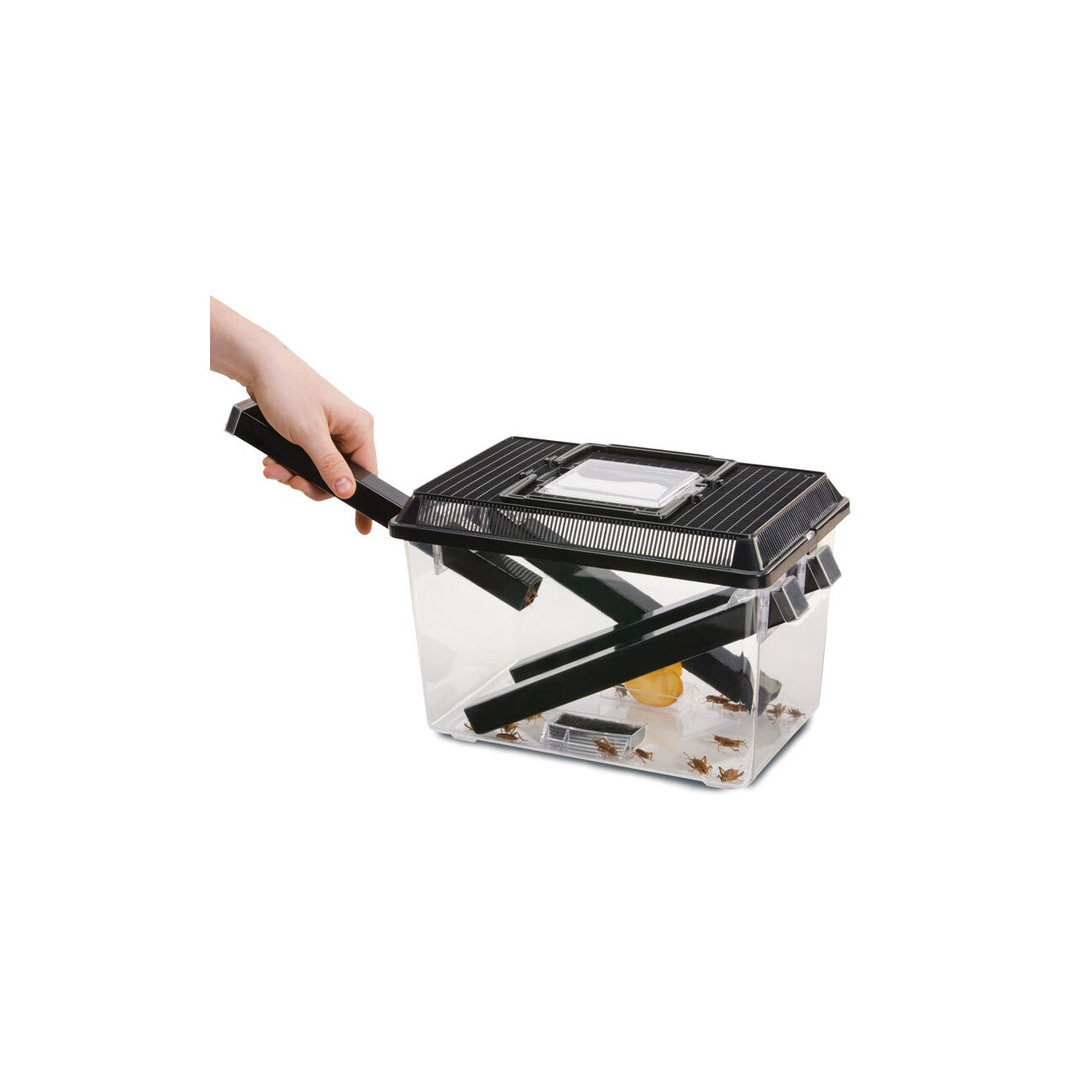 Exo Terra Cricket Box S